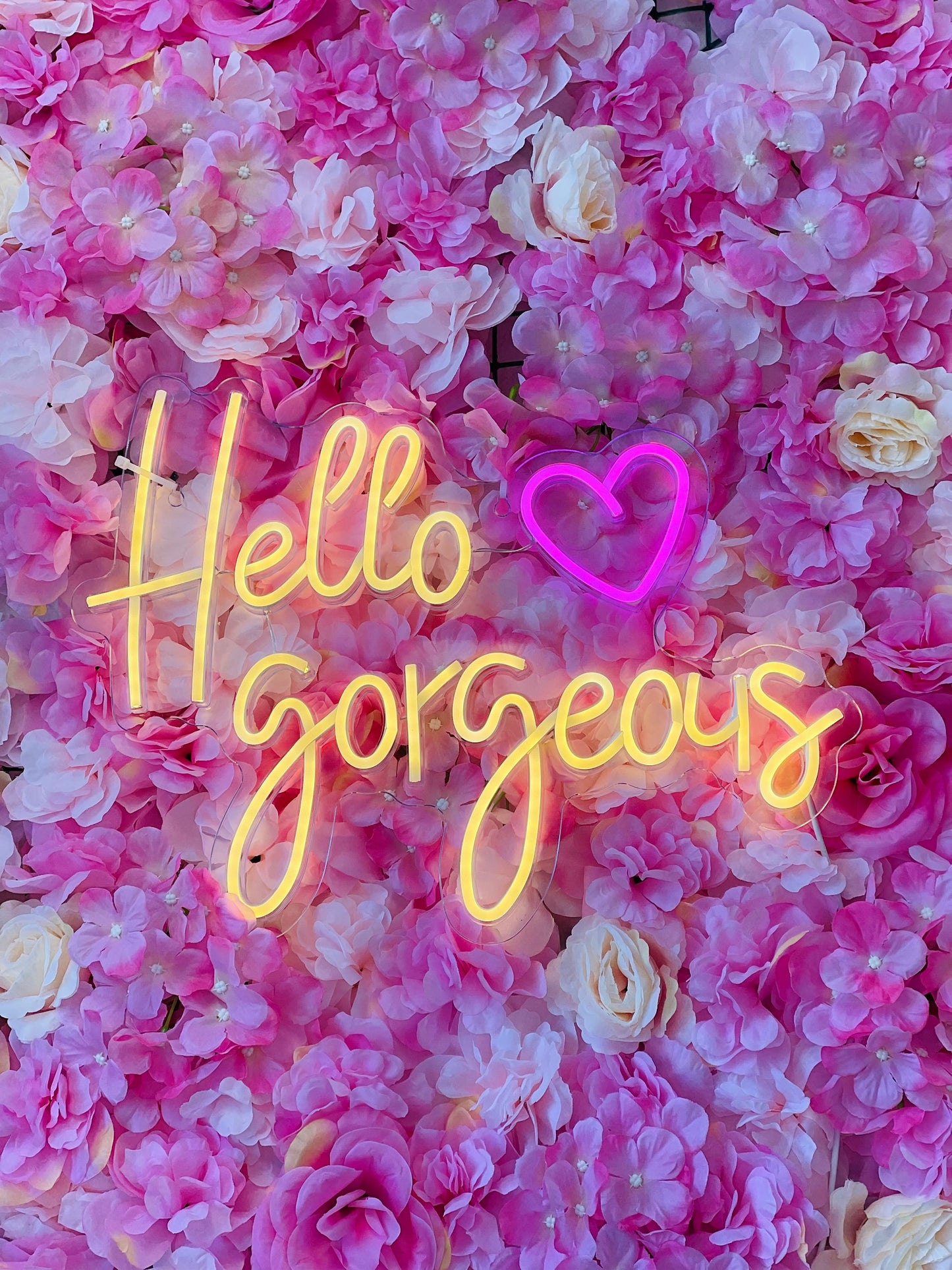 Hello Gorgeous Nail Neon Sign
